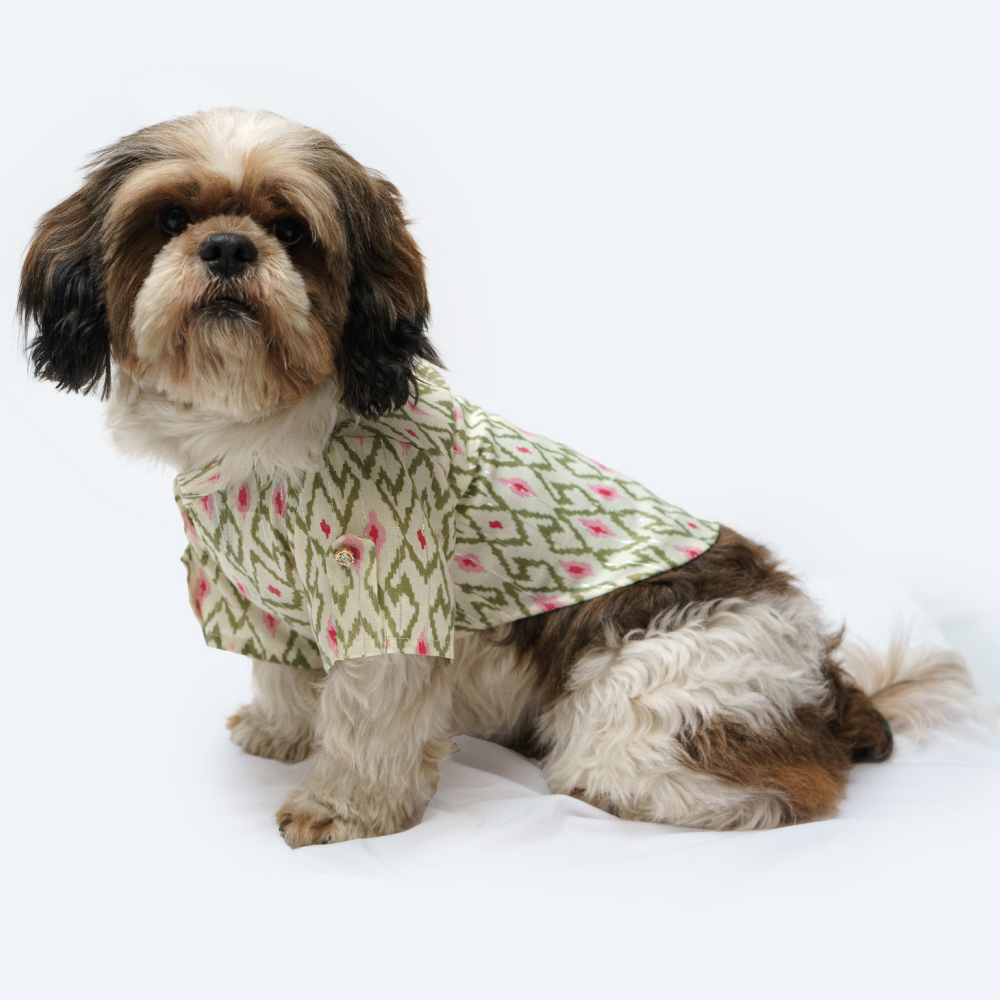 Pawgypets Heritage Kurta for Dogs and Cats (Off White/Pink)