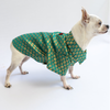 Pawgypets Occasion Wear Shirt for Dogs and Cats (Teal Blue) Both-Clothing & Accessories Pawgypets Dropship XXS