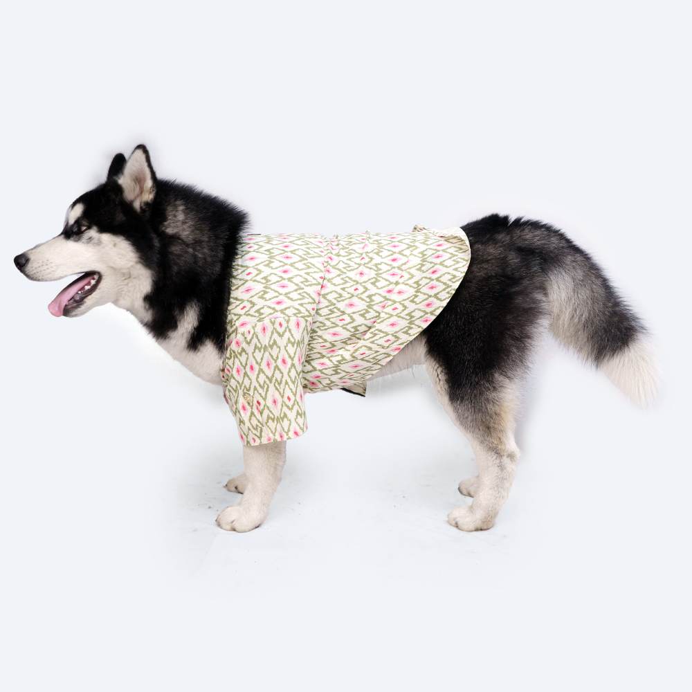 Pawgypets Heritage Kurta for Dogs and Cats (Off White/Pink)