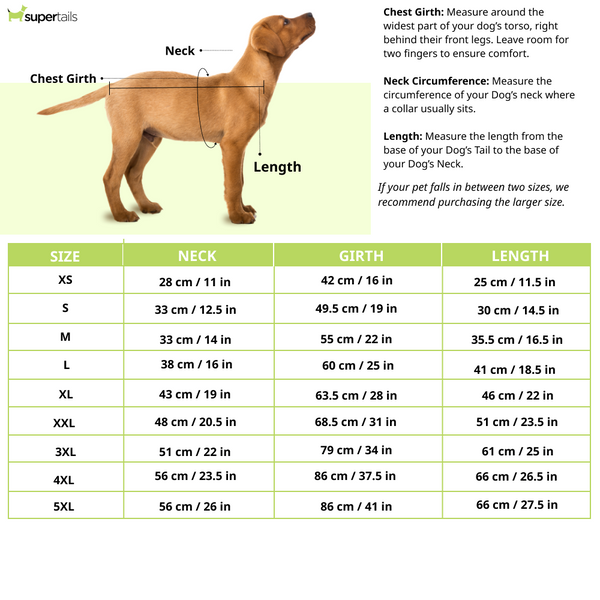 Pets Way Cozyquilt Winter Jacket for Dogs (Yellow)
