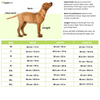 Pets Way Cozyquilt Winter Jacket for Dogs (Yellow) Dogs-Clothing & Accessories Pets Way Dropship