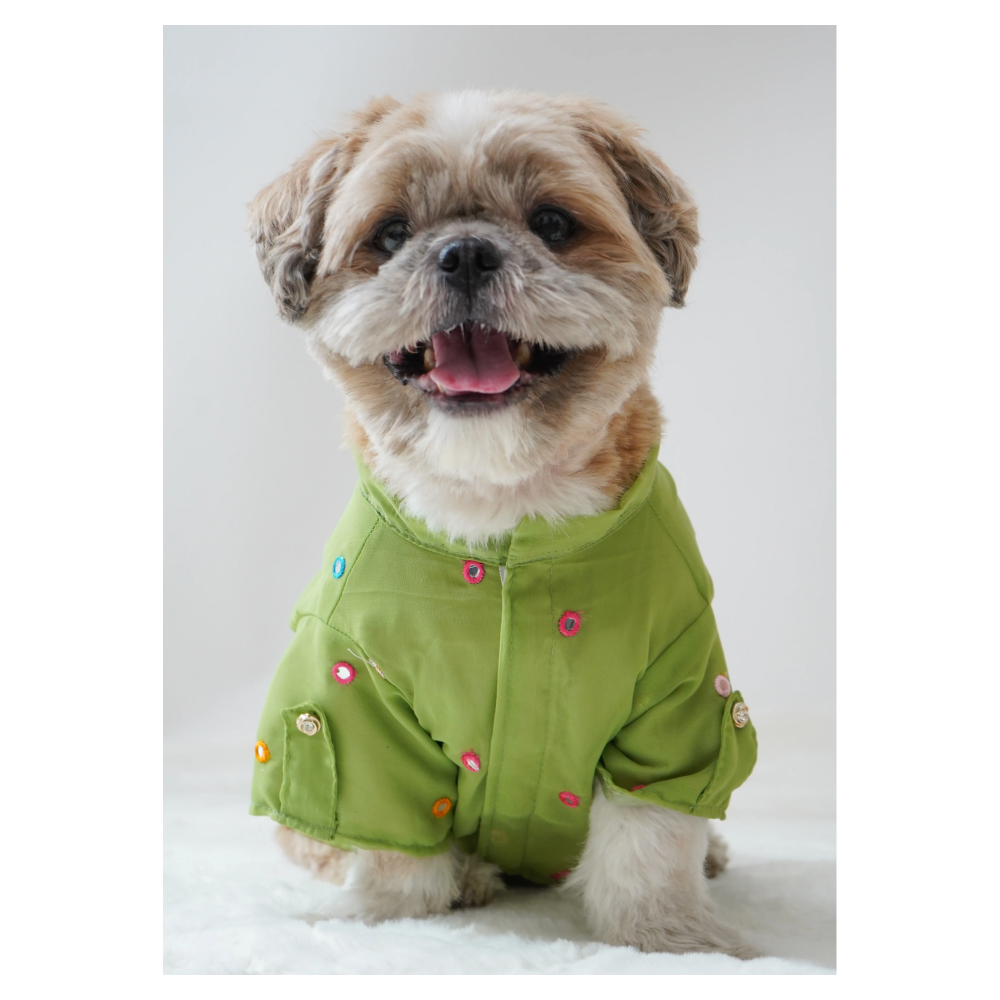 Pawgypets Festive Shirt for Dogs (Pista Green)