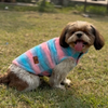 Pawgypets Fur Sleeveless Sweater for Dogs and Cats (Blue/Pink) Both-Clothing & Accessories Pawgypets Dropship