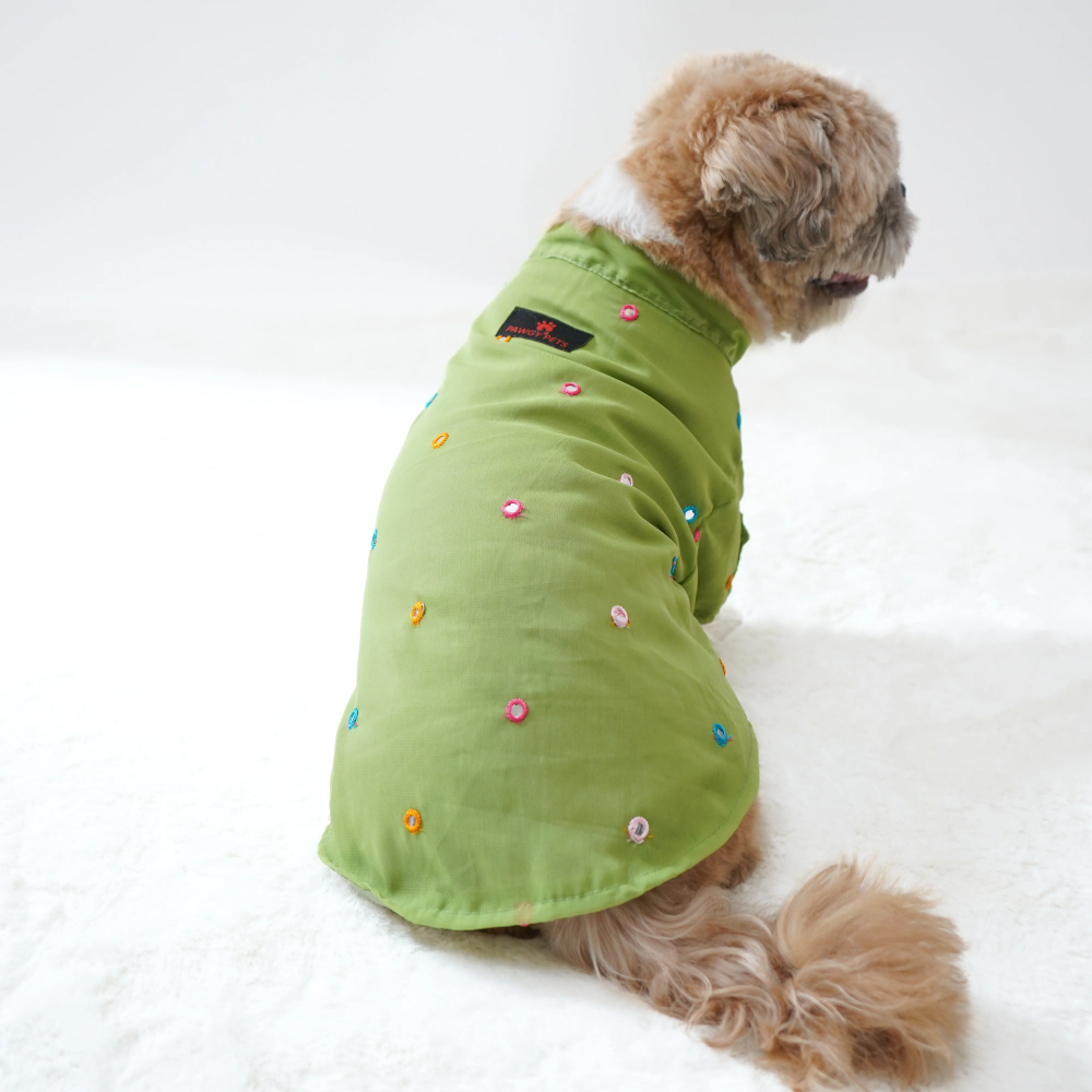 Pawgypets Festive Shirt for Dogs (Pista Green)