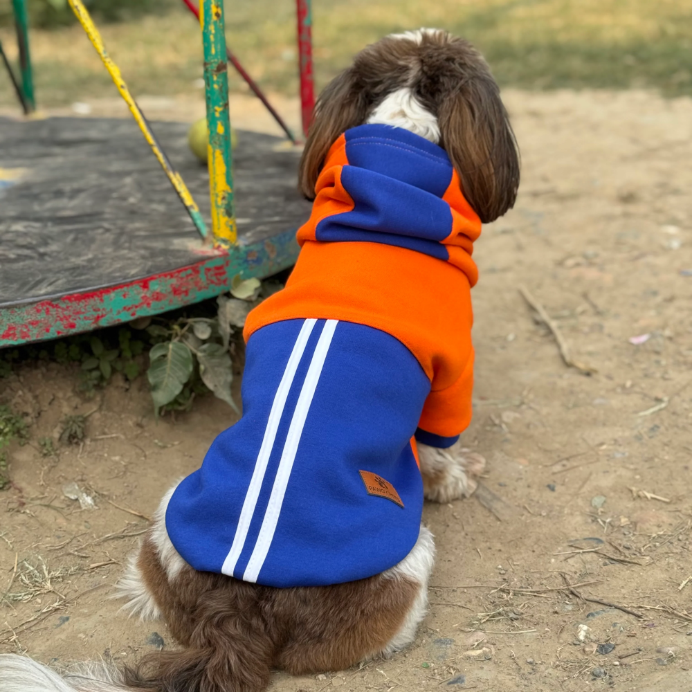 Pawgypets Stripe Hoodie Sweatshirt for Dogs and Cats (Orange/Blue)