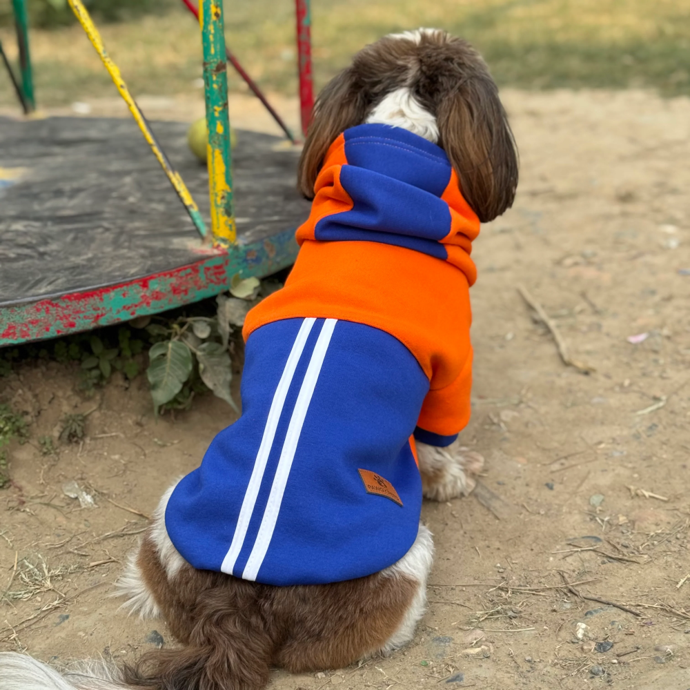 Pawgypets Stripe Hoodie Sweatshirt for Dogs and Cats (Orange/Blue) Both-Clothing & Accessories Pawgypets Dropship XL