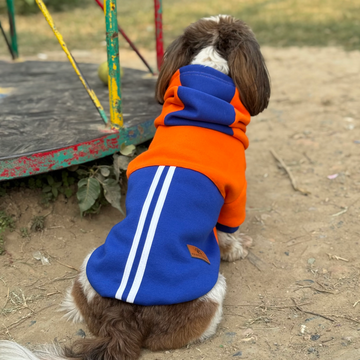 Pawgypets Stripe Hoodie Sweatshirt for Dogs and Cats (Orange/Blue)