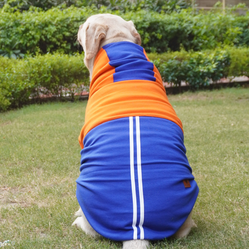 Pawgypets Stripe Hoodie Sweatshirt for Dogs and Cats (Orange/Blue)