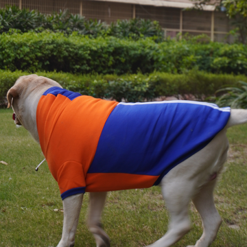 Pawgypets Stripe Hoodie Sweatshirt for Dogs and Cats (Orange/Blue)