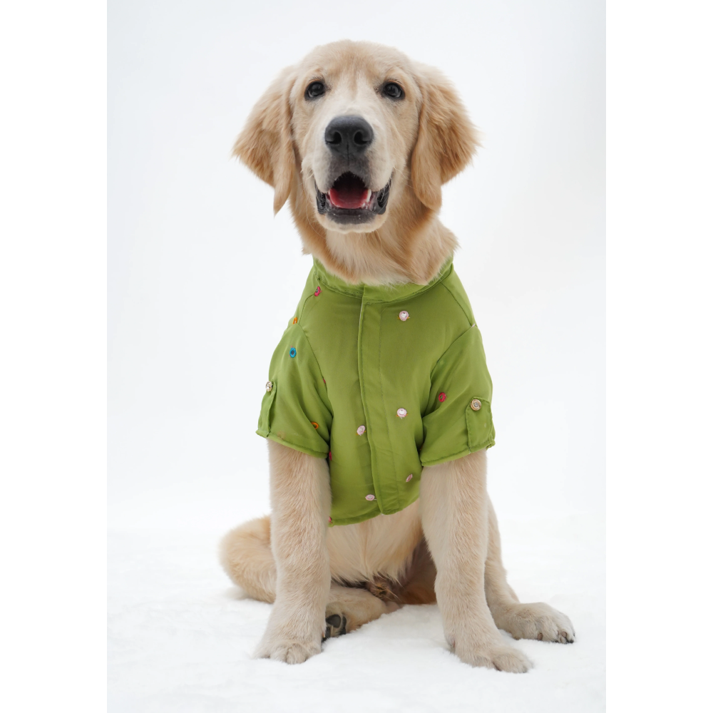 Pawgypets Festive Shirt for Dogs (Pista Green)