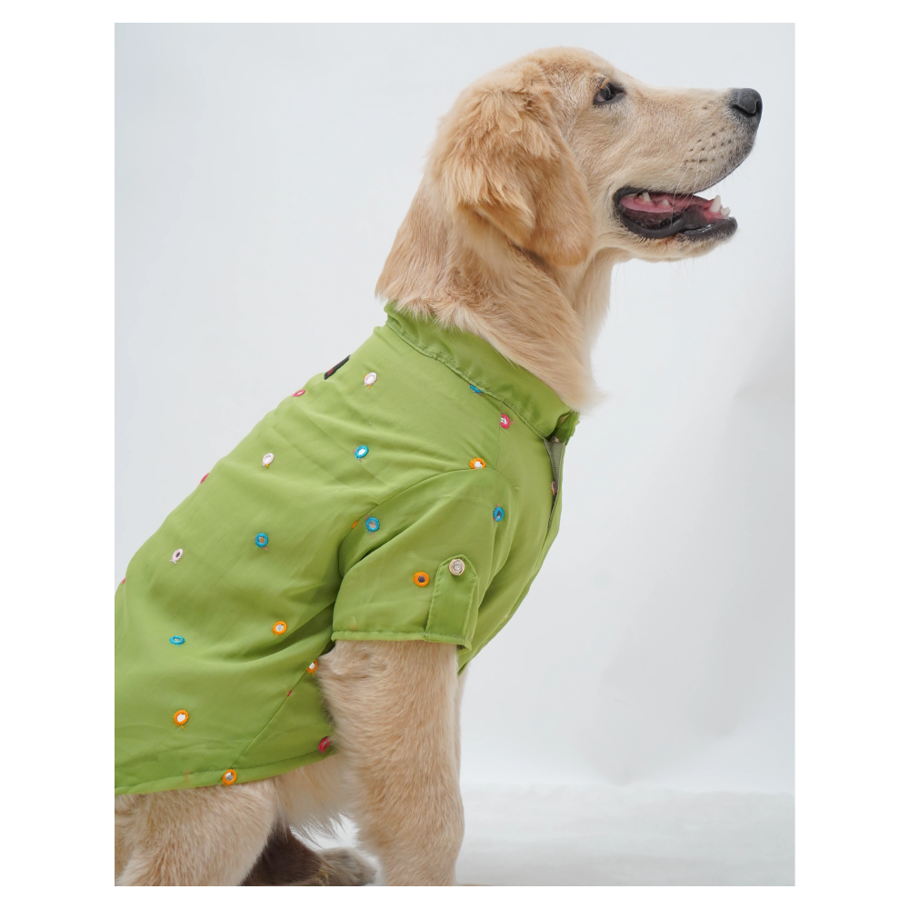 Pawgypets Festive Shirt for Dogs (Pista Green)