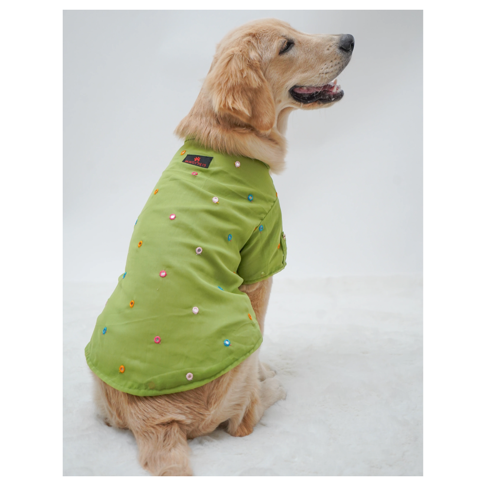 Pawgypets Festive Shirt for Dogs (Pista Green)