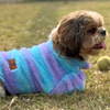 Pawgypets Fur Sweater for Dogs and Cats (Blue/Purple) Both-Clothing & Accessories Pawgypets Dropship XXS