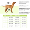 PawsIndia Main Character Energy Printed with Ribbed Sleeves TShirt for Dogs (Blue)