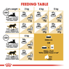 Royal Canin Persian Adult Cat Dry and Wet Food Combo Exclusive Combo Royal Canin