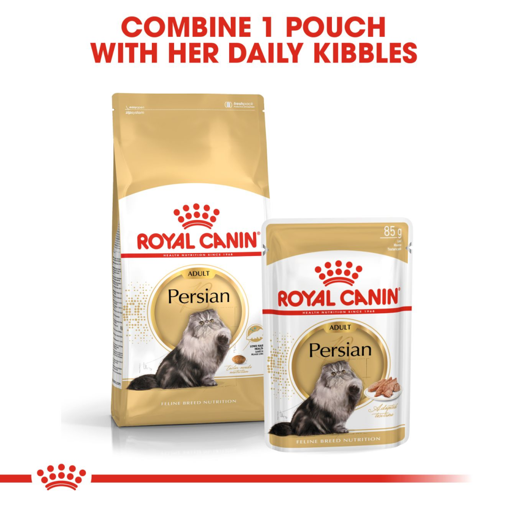 Royal Canin Hair & Skin Care and Persian Adult Cat Dry Food Combo