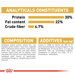 Royal Canin Hair & Skin Care and Persian Adult Cat Dry Food Combo Cats- Dry food Royal Canin