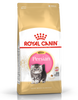 Royal Canin Persian Kitten Cat Dry Food Cats- Dry food Royal Canin 8kg (2x4kg)
