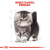 Royal Canin Persian Kitten Cat Dry Food Cats- Dry food Royal Canin