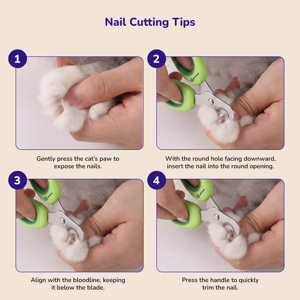 Petverse Built in Safety Guard & Integrated Nail File & Trimmer for Dogs ,Cats & Small Animals