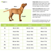 15 Furries Sanskriti Kurta for Dogs Dogs-Clothing & Accessories 15 Furries Dropship