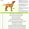 Pet Set Go Crime Master Sleevless T-shirt for Dogs (Black) Dogs-Clothing & Accessories Pet Set Go Dropship