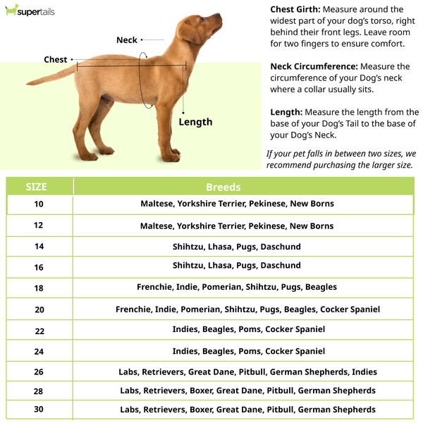 Pet Set Go Giraffe T-shirt for Dogs (Blue)