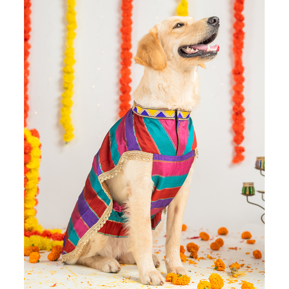 Pet Set Go Kurta for Dogs (Multi Coloured) Dogs-Clothing & Accessories Pet Set Go Dropship
