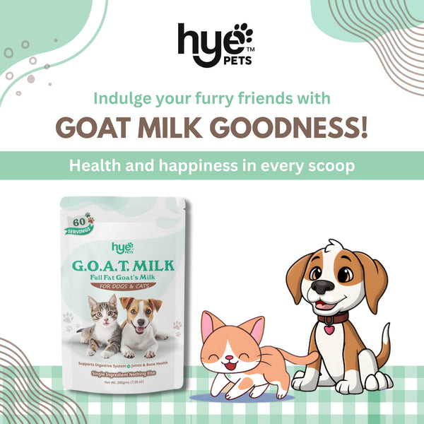 HYE Pets Nutrient-Rich Full Fat Goat Milk Powder for Dogs and Cats