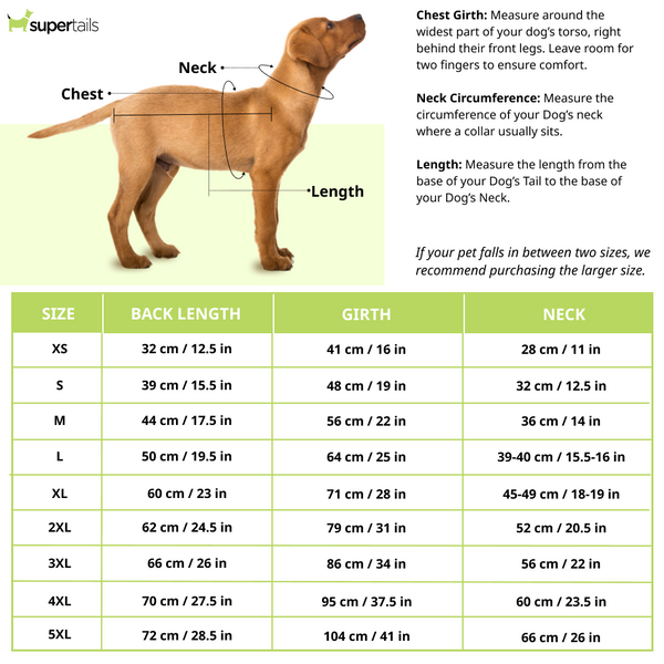 Thunder Dog Raincoat for Dogs (Yellow Orange)