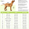 Pets Way Bandhani Print Kurta for Dogs (Rust) Dogs-Clothing & Accessories Pets Way Dropship