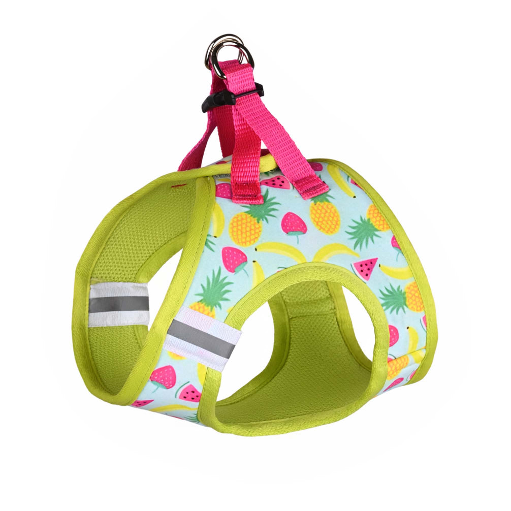 Pets Way Fruity Air Mesh Printed Harness for Puppies and Small Dogs Dogs-Collar, Leashes, harnesses Pets Way XS
