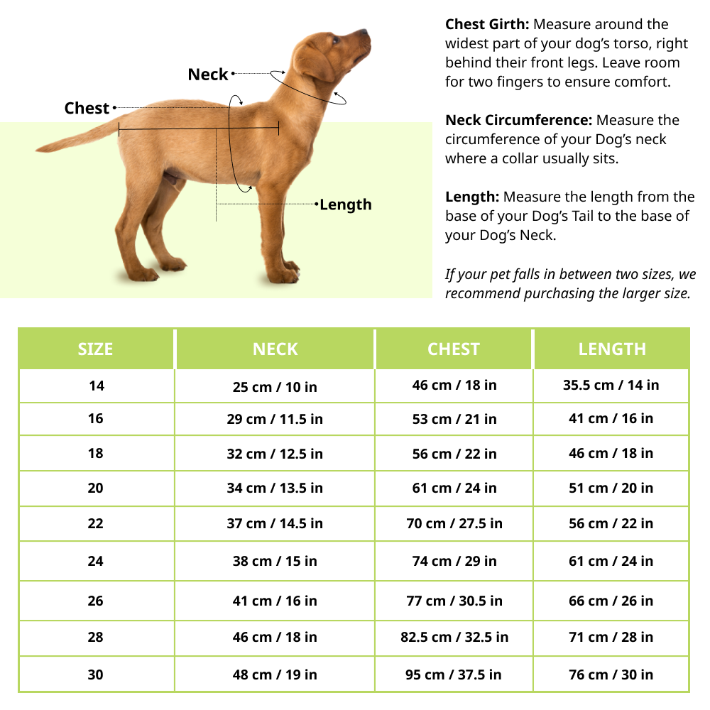 Pet Set Go I’m Not a Regular Dog T shirt for Dogs (Black) Dogs-Clothing & Accessories Pet Set Go Dropship