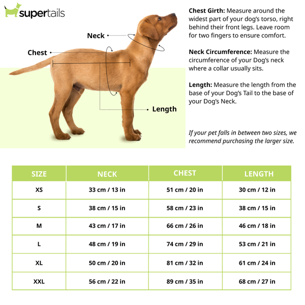 Petsnugs Cute Teddy Bear Design Sweater for Dogs (Green)