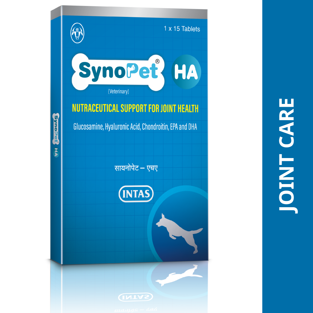 Intas Synopet HA for Dogs and Cats Both-Pharmacy Intas Pharmacy