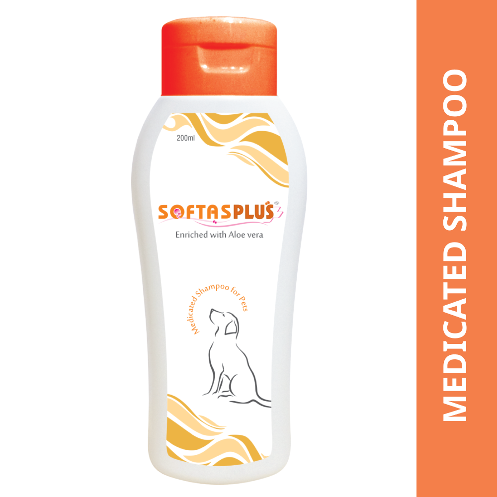 Intas Softas Plus Tick & Flea Shampoo for Dogs and Cats