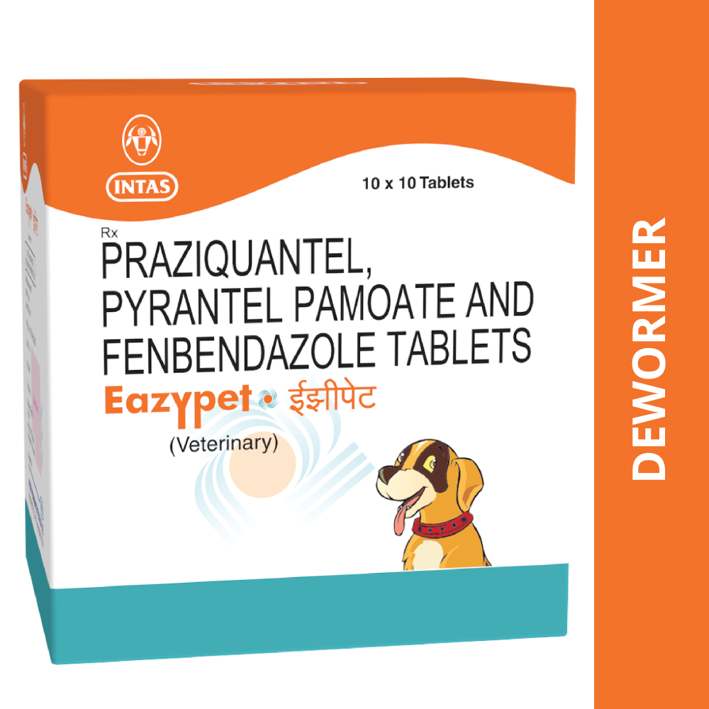 Intas Eazypet Dog Deworming Tablet (pack of 10 tablets)