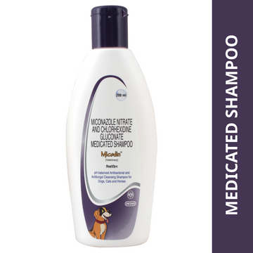 Intas Micodin Shampoo