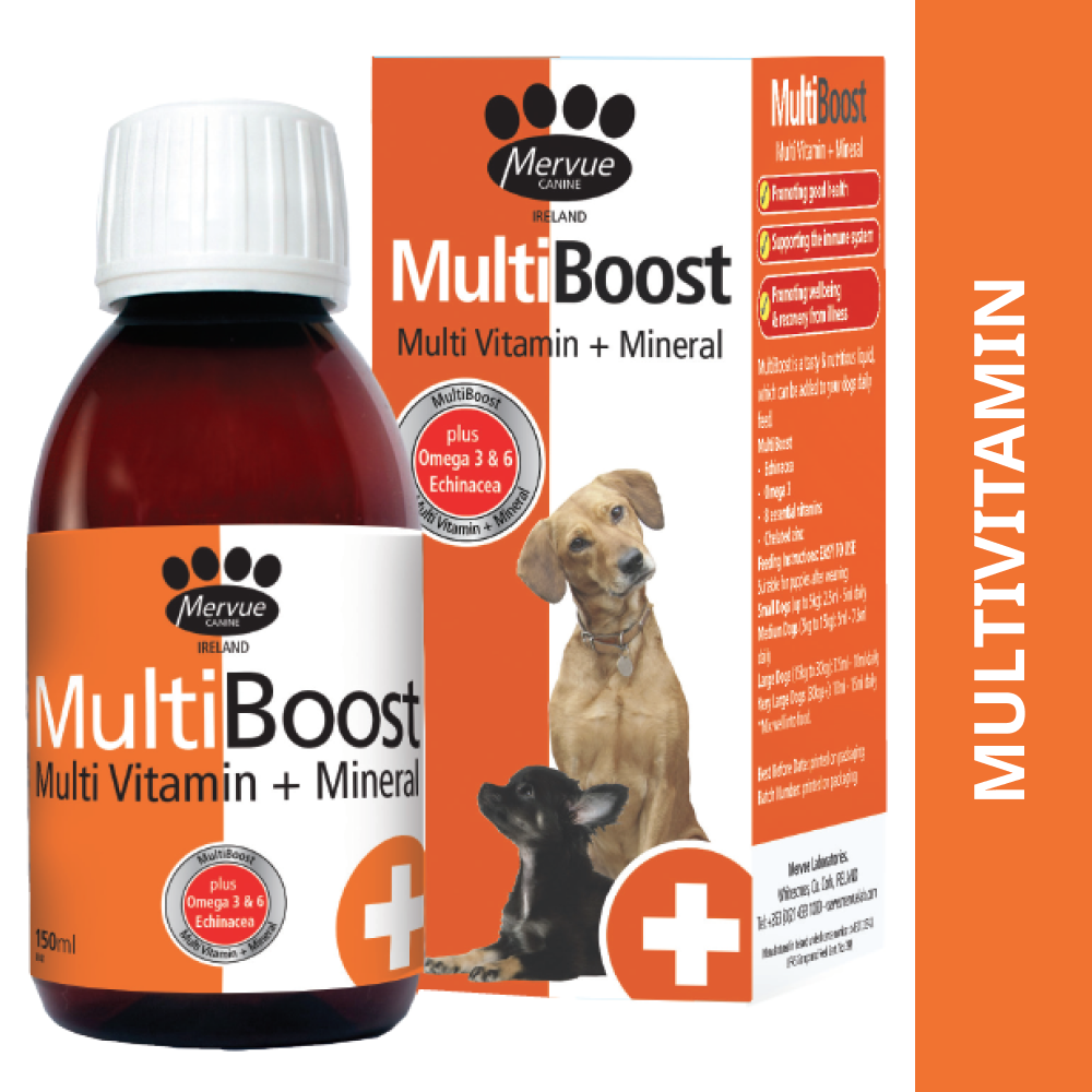 Mervue Multiboost Multivitamin & Mineral Supplements for Dogs (150ml) Dogs-Pharmacy Opus Pet Pharmacy 150mL