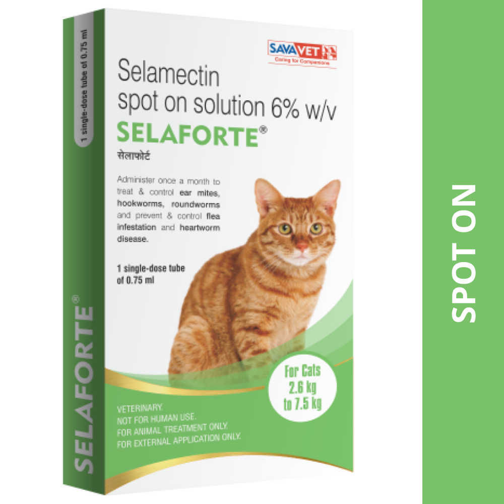 Buy Savavet Selaforte (Selamectin) Tick and Flea Control Spot On for ...