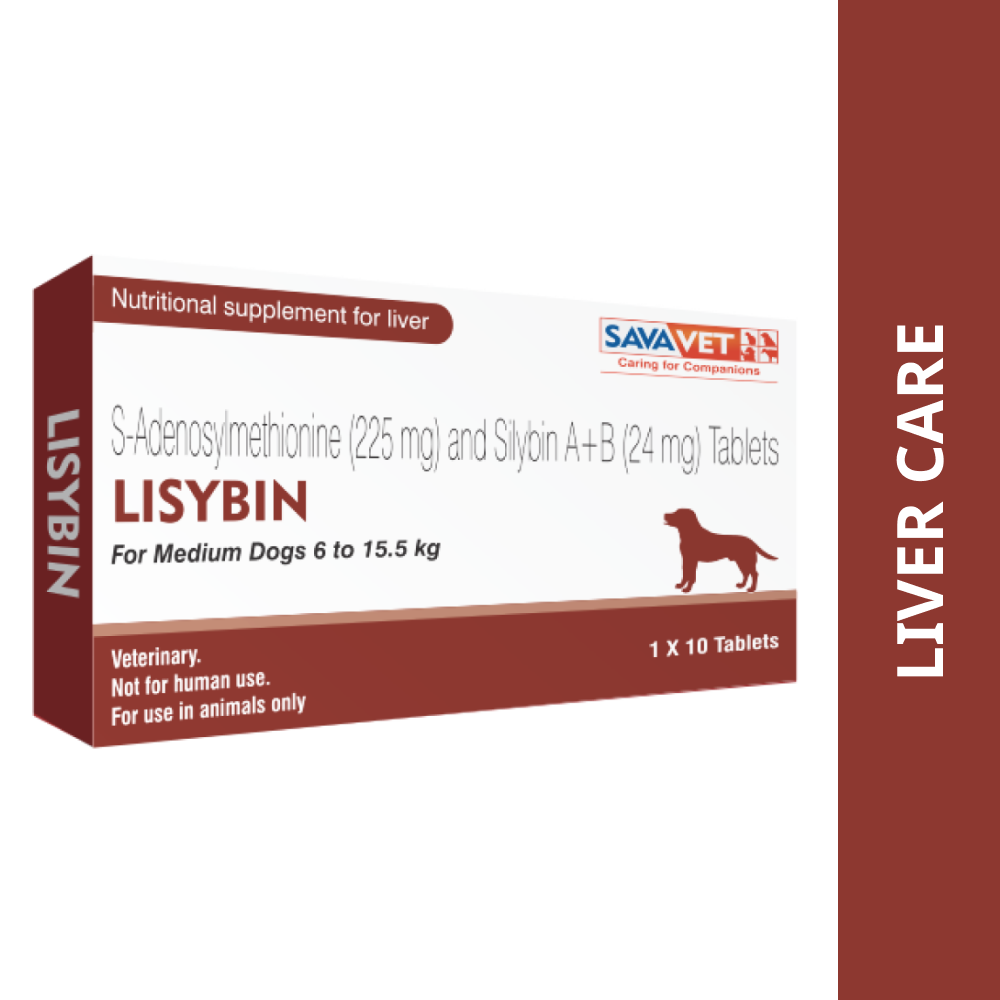 Savavet Lisybin Tablet (pack of 10 tablets) Dogs-Pharmacy Savavet Pharmacy