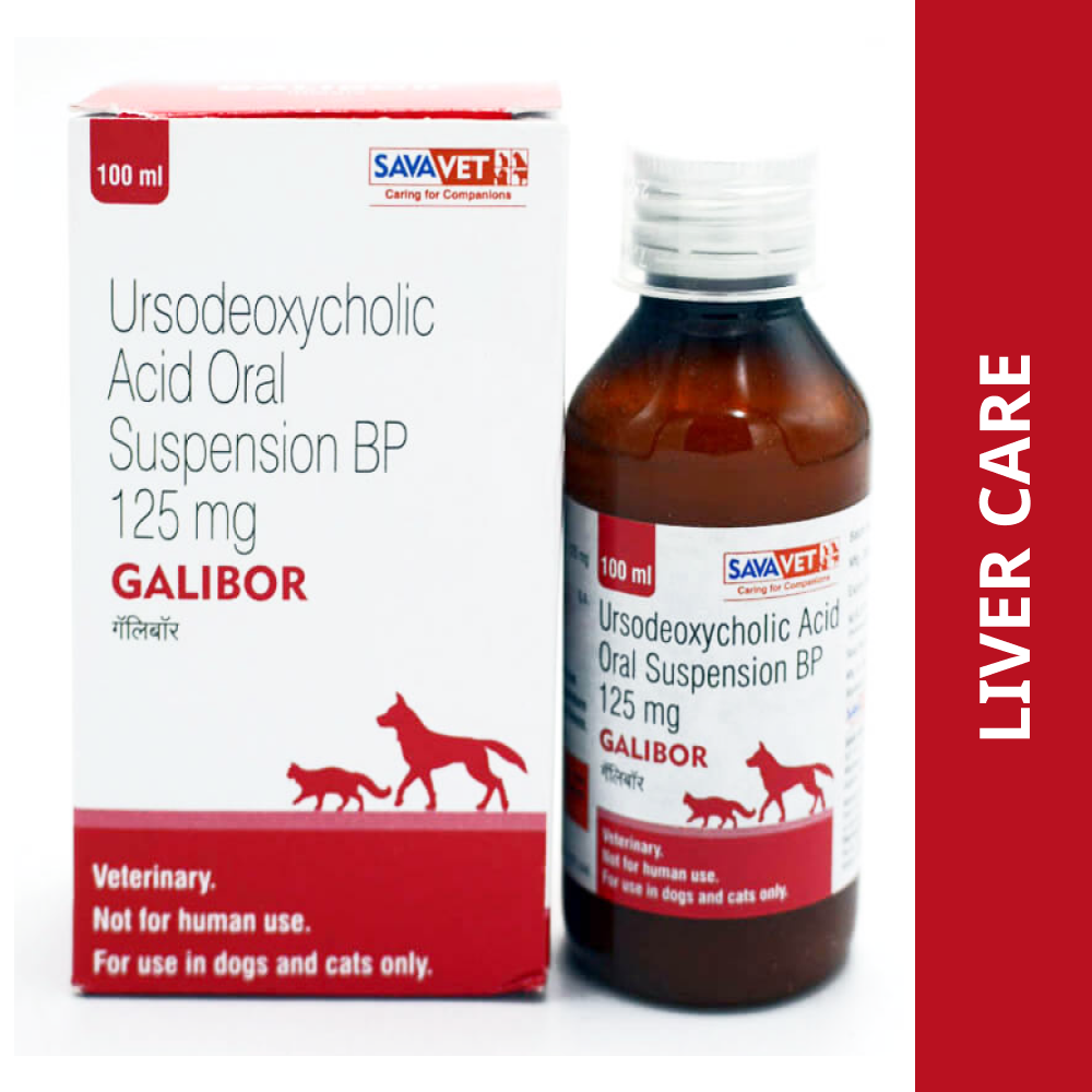 Savavet Galibor Supsension (Ursodeoxycholic Acid) for Dogs & Cats (100ml)