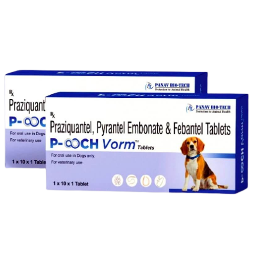Dyntec Pooch Vorm Dewormer Tablets for Dogs (pack of 10 tablets)