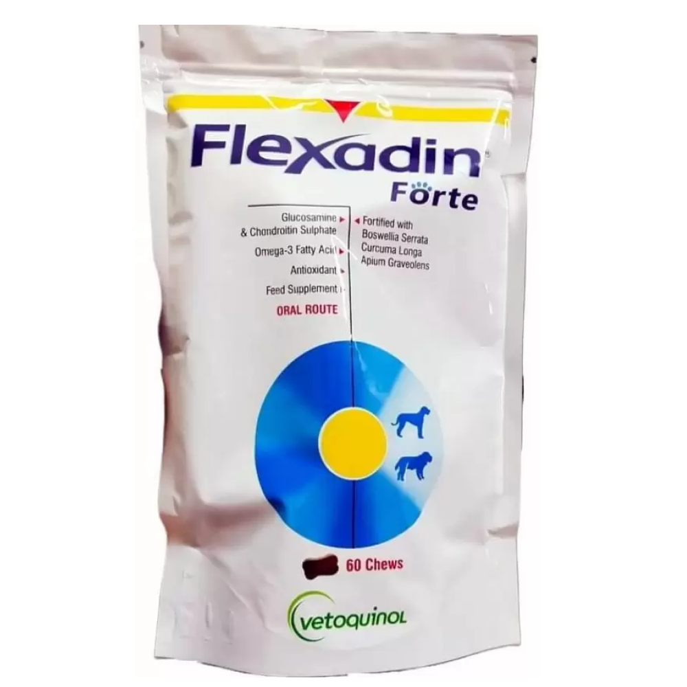 Vetoquinol Flexadin Forte Joint Support tablet for Dogs Dogs-Pharmacy Vetoquinol Pharmacy 1 Pack (60 chews)