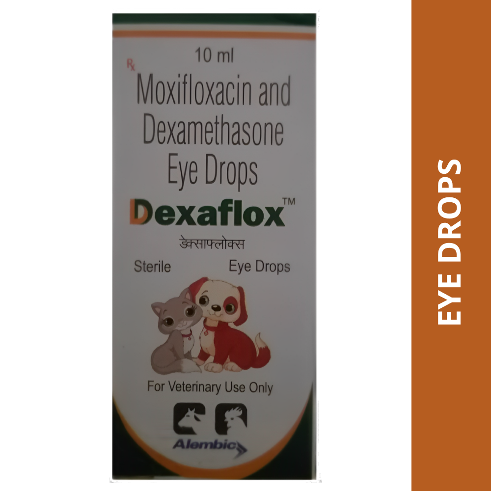 Alembic Dexaflox Eye Drops for Dogs and Cats