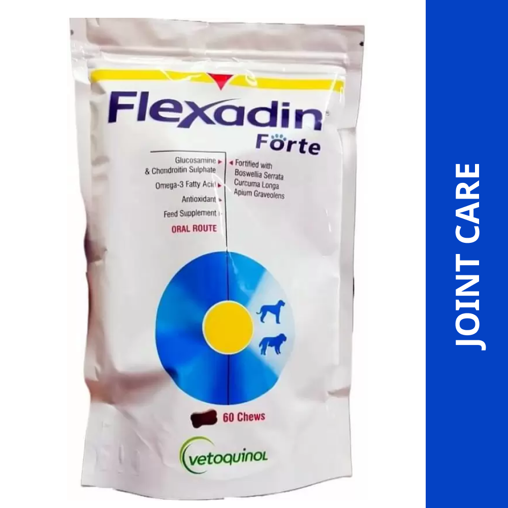 Vetoquinol Flexadin Forte Joint Support tablet for Dogs Dogs-Pharmacy Vetoquinol Pharmacy