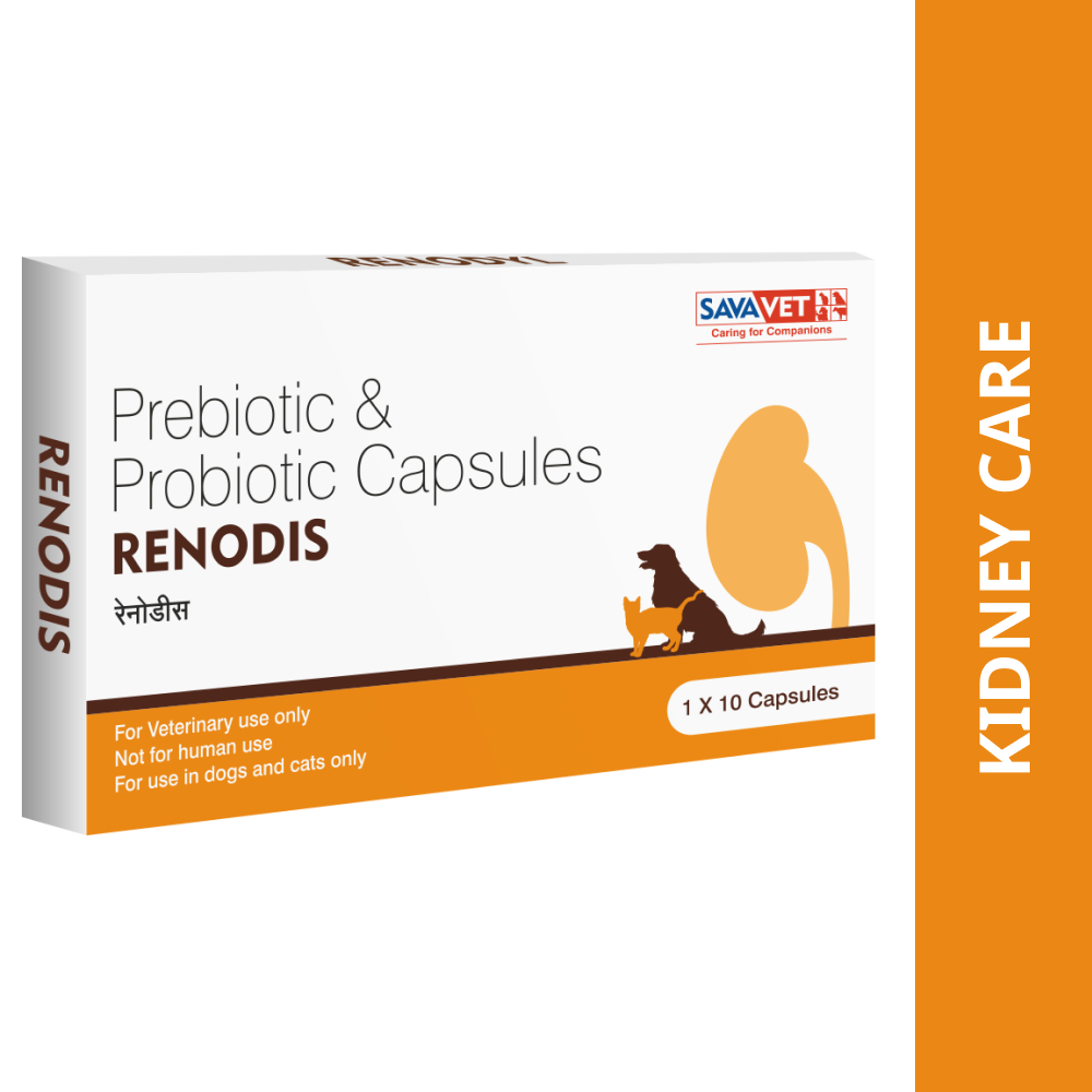 Savavet Renodis Capsules Prebiotics & Probiotics for Dogs and Cats Both-Pharmacy Savavet Pharmacy
