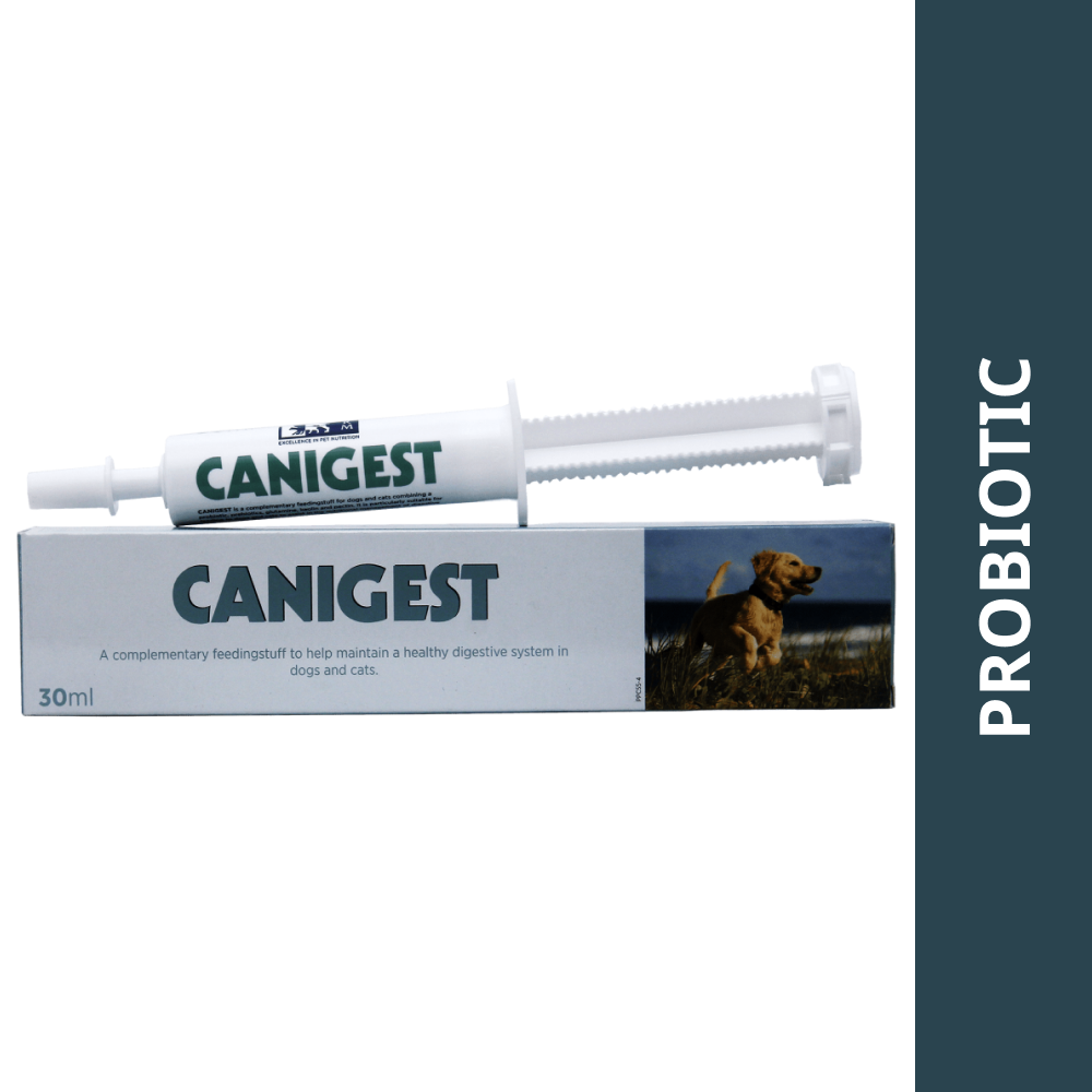 Vetina Canigest Probiotic Gastrointestinal Paste for Dogs & Cats