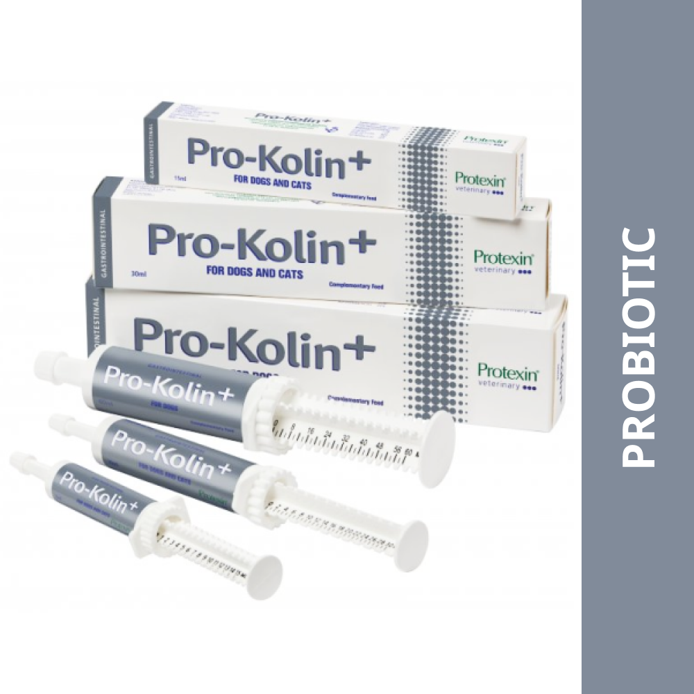 Protexin Pro Kolin Probiotic Gastrointestinal Paste for Dogs & Cats (30ml)