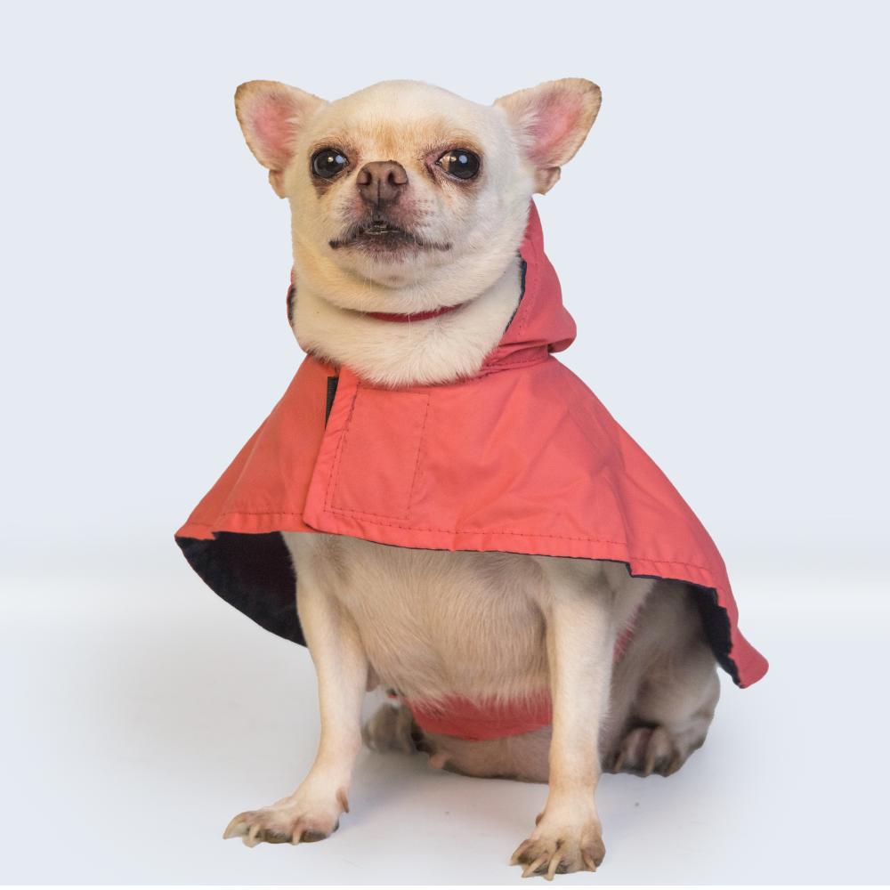 Pet Set Go Cape Style Raincoat for Dogs (Red)